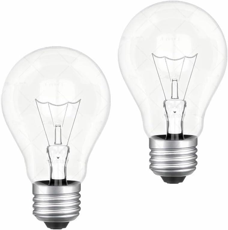 100 watt Incandescent Light Bulbs,A19 Clear Incandescentt Rough Service Light Bulb,Dimmable Medium E26 Base Light Bulbs,A19 Incandescent Light Bulb,2700K Warm White,100 WATT Bulbs (2)