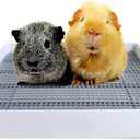 PODOO Rabbit Litter Box  Training Potty Tray for Guinea Pig & Small Pets  Spacious Grid Pan with Low Entrance, Easy-Clean & Odor-ResistantHelps Keep a Clean Cage and Reduce Mess (Medium)