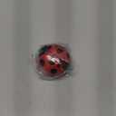Ladybug Mechanical Cooking Timer - 60-Minute Kitchen Alarm Clock with Loud Ring