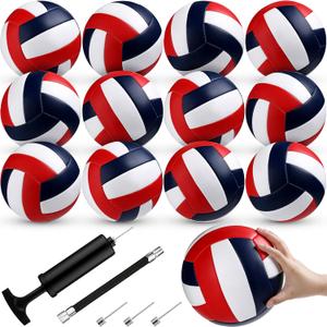 Meooeck 12 Pcs Volleyballs Official Size 5 Volley Balls Bulk Practice Volleyballs Indoor Outdoor Soft Recreational Volley Ball with Pump for Beginner for Gym Training Beach Pool