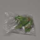 SCAHOW Plastic Frog Toys for Kids, Rainforest Animals Figures, Rubber Bullfrog Figurine, Forest Woodland Animals Toys, Frog Decor Party Favor Garden Flowerpot Decoration (Green)