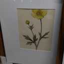 16"X20" Vintage Picture Frame for Wall Hanging or Tabletop,Set of 3