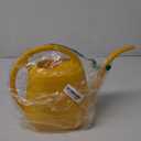 Fasmov Plastic Watering Can, Yellow, 1-Gallon