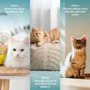 Cat Calming Diffuser Refill 6 Pack Cat Calming Pheromone Diffuser Refill Cat Plug in Pheromones Cat Stress Diffuser Cat Pheromones Calming for Cats Anxiety and Stress 48ml Vial-180 Days Fits All Cats