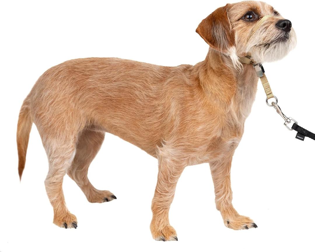 PetSafe Gentle Leader No-Pull Dog Headcollar - The Ultimate Solution to Pulling - Redirects Your Dog's Pulling for Easier Walks - Helps You Regain Control - Small, Fawn