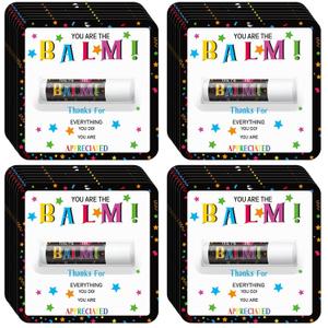 30 Pack Employee Appreciation Gifts Bulk Lip Balms, Teacher Thank You Gifts, Staff Volunteer Appreciation Favors, Youre the Balm Mini Lip Balm (Mint Flavor)