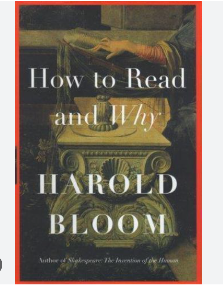 Book How to Read and Why by renowned literary critic Harold Bloom