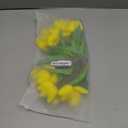 Beferr Tulips Artificial Flowers 18Pcs Faux Tulip Real Touch Tulip Fake Flowers Bouquets Arrangements for Mothers Day Spring Easter Home Wedding Table Decor Yellow