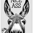 Funny Donkey Wall Art Nice Ass,Donkey in Bathroom Posters Middle Ages Abstract Farmhouse Home Canvas Print Painting Interest Black and White Wall Decor 8x12inch Unframed