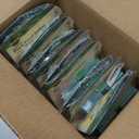 Miracle-Gro Indoor Plant Food Spikes, Includes 48 Spikes - Continuous Feeding for all Flowering and Foliage Houseplants - NPK 6-12-6, Pack of 1