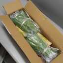 Velener Artificial Agave Plant Set,22 Inch, Faux Aesthetic Plants for Home Decor, Realistic UV Resistant Fake Agave Plants Without Pot, Set of 2