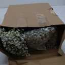 Ysleen 300 Pieces Artificial Flowers Plastic Baby Breath Flowers Faux Gypsophila DIY Floral Bouquets Arrangement Baby Breath Wedding Party Decoration for Party Home Office Garden Decor (White)