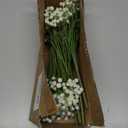 Baby's Breath Artificial Flowers Bulk 10 Pack (30pcs) Faux Baby Breath Plastic Flower Fake Gypsophila Flower Arrangement for Crafts Fake Flowers Bouquet for Wedding Centerpieces Cream Baby Breath