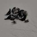 BellRhein Universal Stainless Steel Furniture Corner Connector, Shelf Brackets 10PCS, for Furniture Corner Connectors, Wooden Furniture Triangle Stabilizer, Including 70 Screws (Black)