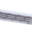 GW LED 2FT GROW LIGHT 40WT RED BLUE
