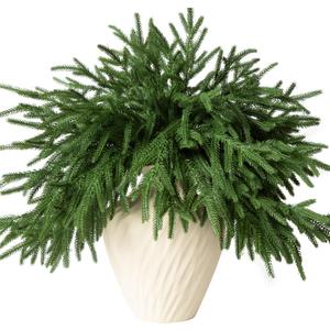 12 Pcs Artificial Norfolk Pine Branches - 18" Realistic Faux Christmas Greenery Stems Fake Evergreen Cedar Picks Winter Greens for Vase DIY Crafts Garland Wreath Indoor Outdoor Holiday Decor