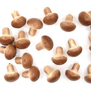 20Pcs Fake Artificial Vegetable Small Lifelike Artificial Faux Gray Mushroom Party Decor Ornament, Simulation Display Foam Realistic Model for Home Kitchen Themed Tabletop Decor Photography Props