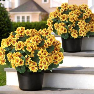 2 Pack Artificial Geranium Flowers Topitary Trees for Outdoors, UV Resistant Geraniums Potted Bushes Look Real Silk Faux Plants for Front Door Garden Porch Planter Farmhouse Home Decor (Yellow)