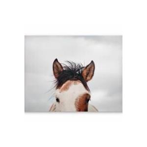 DI JLA 28x22 ITS IN THE EYES CVS ART