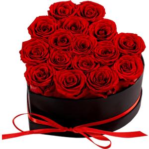 Forver Preserved Roses in a Box, Flowers for Her,Eternal Roses Preserved Flowers for Delivery Prime Birthday, Mothers' Day, Valentine's Day, Christmas (Red, 16 Roses)