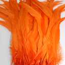 20pcs 12"-14" and 14"-16" Rooster Coque Tail Feathers for Crafting, Decoration, Weddng, Millinery Supply, Fly Tying, DIY Feather Decoration (Orange, 12-14 inch) (12-14 inch, Orange)