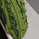 FOREST PRINCE 68" Artificial Ferns for Outdoor, UV Resistant Giant Faux Boston Fern Bush with 92 Fronds, Large Fake Plants Fade Resistant for Porch Patio Garden Home Decor