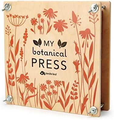 Tender Leaf Toys - My Botanical Press - 8.3 x 8.3 Inch 10 Layers Flower Press, DIY Dried and Preserved Flowers and Leaves, Plants Art & Crafts kit - Age 3+