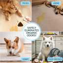 [Stock Up Value] Pet Odor Neutralizer Spray for Dog and Cat Urine - 16.9oz Plant-Based Enzyme Cleaner - Professional Strength Deodorizer for Carpet, Furniture and Litter Box - Unscented