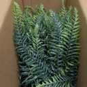 FOTEEWL Artificial Ferns Potted Plant for Front Door Decoration - 2 Sets UV Resistant Realistic Bush Faux Greenery Fern Potted Fake Plants for Home Garden Porch Farmhouse Decor