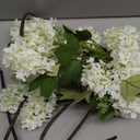 Kajaia 4 Pcs Artificial Snowball Hydrangea Branches 30 Inch Faux Snowball Viburnum Stems, 5 Head Silk Hydrangea Blooms Branch for Vase DIY Table Centerpiece, Farmhouse Home Wedding Decor(Cream White)