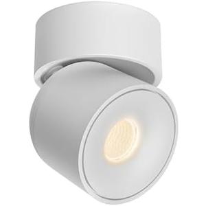 Aisilan LED Indoor White Ceiling Spot Light 7W Surface Mounted Light Fixture with 360° Pivoting Spotlight, Dimmable Warm White 3000K CRI 97+ for Living Room Bedroom, 1 Pack