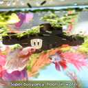 2 x Abizoo Halloween Aquarium Floating Plant Barrier, Fish Tank Feeding Ring Black Skull Shape Betta Fish Feeding Ring for Aquarium Decoration Keeps Tank Clean