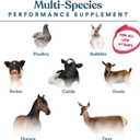 Manna Pro Calf-Manna, Multi-Species Performance Supplement for Livestock, Poultry, Cattle, Goats, Rabbits, Swine, Horses & Deer, High-Protein Animal Feed Additive for Growth, Weight Gain, 10 lb Bag