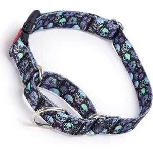 Martingale Collar for Dogs with Buckle, No Slip Escape Proof Limited Choke Pinch Pet Collars Quick Release Snap with Lock, Blue Purple Skull, L, For Neck 19-24.8" x W1", 4T