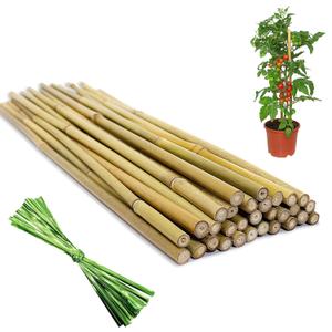 Natural Bamboo Plant Stakes (18in-30PCS)
