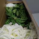 [100]Pcs Realistic Artificial flowers White Roses Bulk, Silk Flowers for wedding decorations & Home Decor, Bridal Bouquets & Centerpieces, Perfect for Halloween & Valentine's Day Decorations (100)