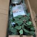 7ft Large Ficus Artificial Trees with Natural Curved Trunks, 84" Tall Lush Faux Tree for Home Decor Indoor, Green Lifelike Fake Ficus Tree Artificial Plants in PotSet of 2