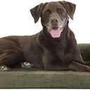 Furhaven Orthopedic Dog Bed for Large/Medium Dogs w/ Removable Bolsters & Washable Cover, For Dogs Up to 55 lbs - Faux Fur & Velvet Sofa - Dark Sage, Large