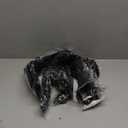 8 Packs Goddess Box Braids Crochet Hair 14 Inch Crochet Box Braids with Curly Ends Boho Braids Bohemian Box Braid Hair for Women (1B, 14 inch 8 pack)