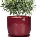 Ceramic Flower Pot for Plants - Cylinder Modern 8 Inch Plant Pot Indoor with Drainage Hole and Saucer, Home Office Room Porch Decor, Red