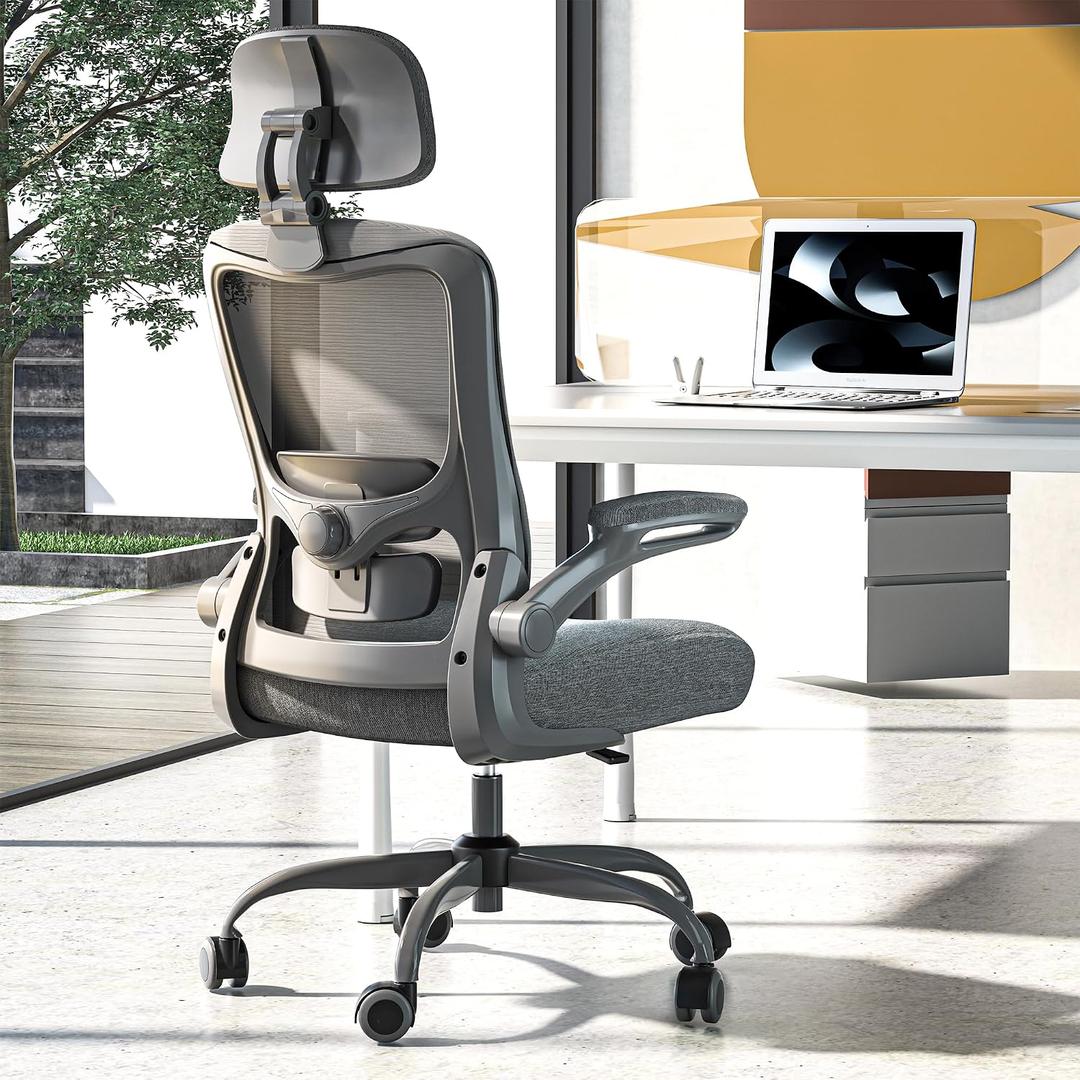 Office Chair, Ergonomic Mesh Desk Chair with Adjustable Lumbar Support and Headrest, Flip-up Armrests, High Back Computer Task Chair for Home and Executive Office (G-All Grey)