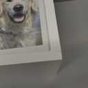 Pet Urns for Dogs - Dog Urns for Ashes, Suitable for All Pets - Includes Paw Print Kit, Picture Frame and Photo Book for a Lasting Tribute and Cherish Precious Memories (White)