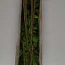 Artificial Greenery Stems, 43.3" Nandina Branches Tall Faux Plant Stems for Vase, Greenery Decor Stems Leaves Bunches for Shop Garden Office Home Dcor(Green,2Pcs)