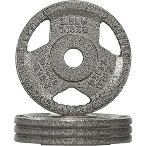 Fitvids Cast Iron 1-Inch Standard Weight Plate for Strength Training & Weightlifting, Multiple Weights 2.5LB (Set of 4)