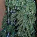 8 ft. App-Controlled Pre-lit Artificial Christmas Tree with 15 Modes Multicolor Lights