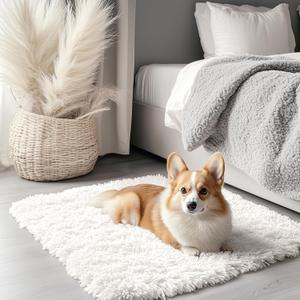 OLANLY 2x3 Machine Washable Small Bedside Rug, Soft Fluffy Shaggy Entryway Throw Rugs for Bedroom, Living Room, Indoor Floor Carpet for Kids Girls and Boys, Nursery Rooms, Home Decor Aesthetic, Ivory