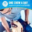 DentaLife ActivFresh Dog Chews for Large Dogs 40 lbs. and up, Dental Chews to Freshen Breath, Chicken Flavor, 24.1 oz., 21 Chews - 21 ct. Pouch