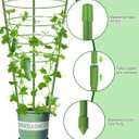 4 Pack Garden Plant Support Tomato Cage, Upgrade 36'' Trellis for Climbing Plants, Plant Trellis Kits with 4 Self Watering Spikes and 20 Plant Clips (36'') (Upcage-4T-23)