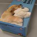 Artificial Green Pine Needles Branches, 50 PCS Small Pine Twigs Stems Picks, Fake Greenery Pine Picks for Christmas Garland, Wreath, Home Holiday Decoration (50, Green White)