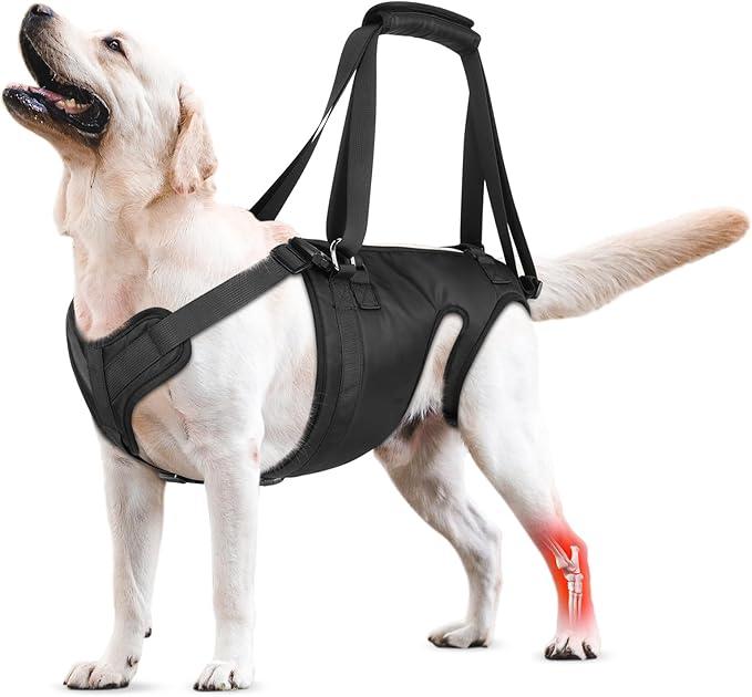 Dog Lift Harness